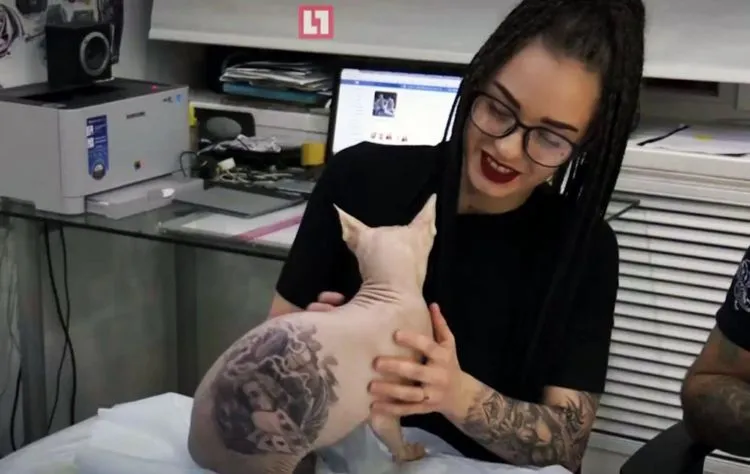 Orang Bikin Tato Sendiri Aja Sering Dimarahi, Apalagi Buat Kucing. Tapi Memang Kayaknya Kasihan Sih 5
