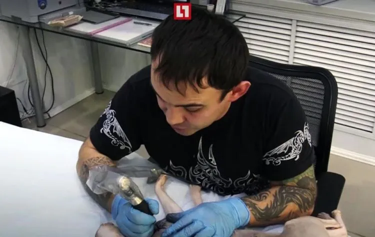 Orang Bikin Tato Sendiri Aja Sering Dimarahi, Apalagi Buat Kucing. Tapi Memang Kayaknya Kasihan Sih 4