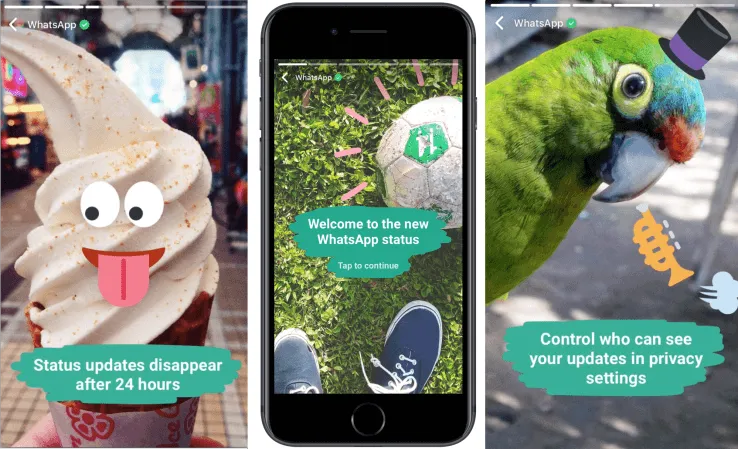 Mark Zuckerberg Punya Hobi Baru. Mulai Dari Insta Story, Sekarang Ada Fitur 'Story' di WhatsApp 6