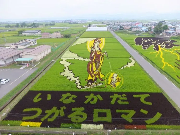 10 Seni Melukis Sawah di Jepang Ini Memang Luar Biasa, Bukan Dicat Apalagi Dibakar Lho 11