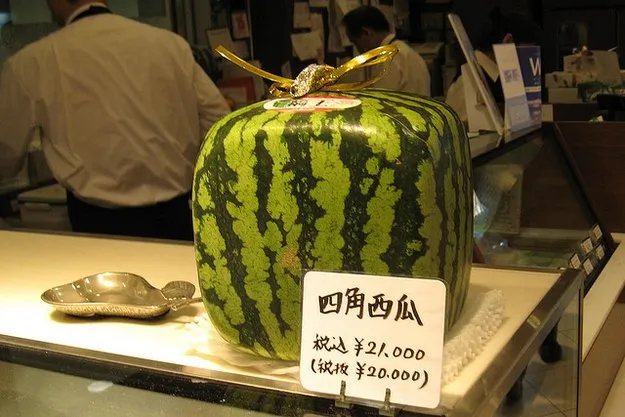 Melon Dijual Rp 350 Juta dan Satu Strawberi Sampai Rp 57 Juta. Buah-buah Di Jepang Ini Mahal Gila 12