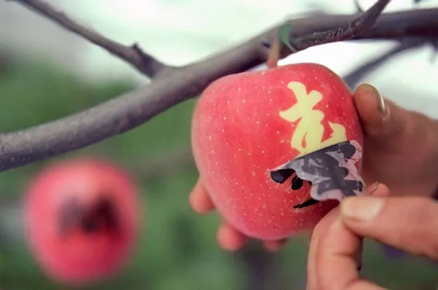Melon Dijual Rp 350 Juta dan Satu Strawberi Sampai Rp 57 Juta. Buah-buah Di Jepang Ini Mahal Gila 21