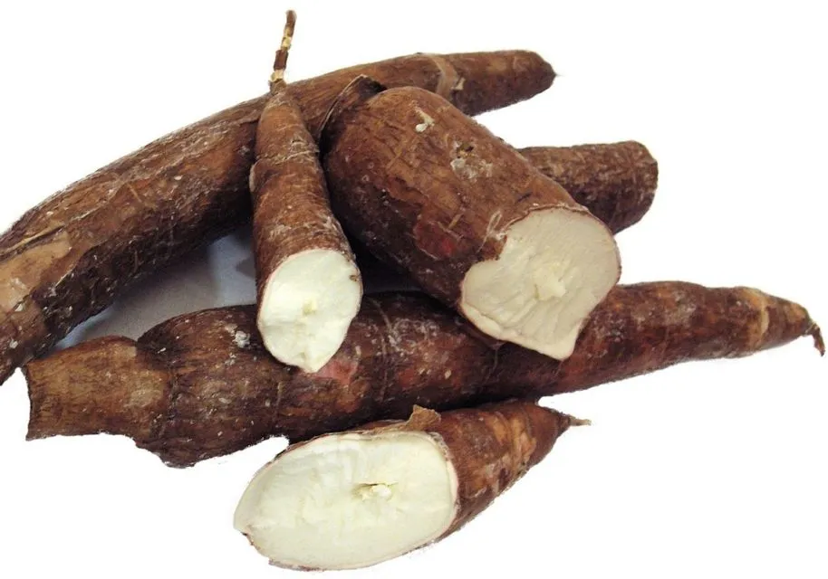 Hati-hati, 8 Makanan yang Beracun ini Bisa Jadi Ada di Dapur Rumahmu 9 makanan yang beracun