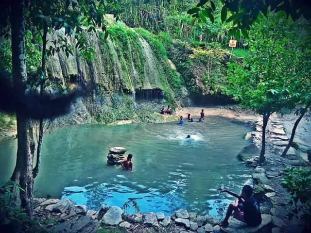 Pulosari