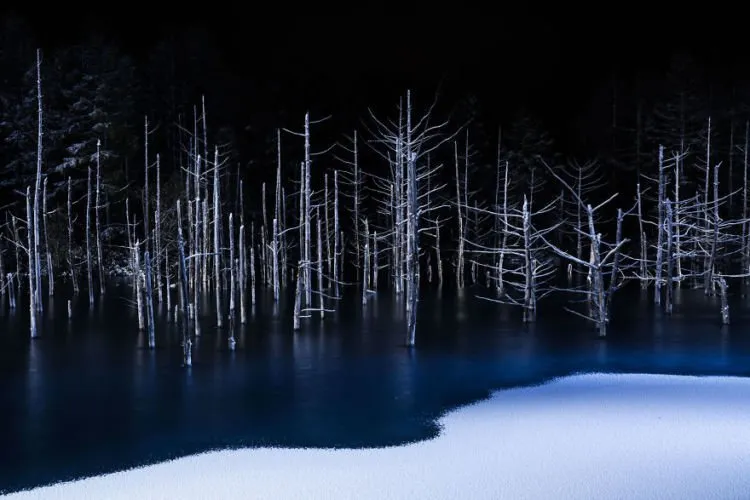 15 Foto Terbaik dari Sony Photography Awards yang Kerennya Kebangetan. Kamu Perlu Belajar Dari Karya Mereka! 26