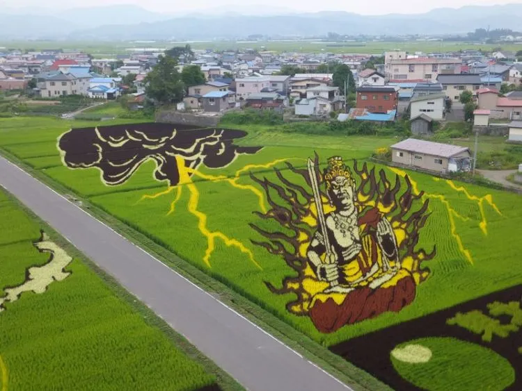 10 Seni Melukis Sawah di Jepang Ini Memang Luar Biasa, Bukan Dicat Apalagi Dibakar Lho 12
