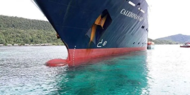 Terumbu Karang di Raja Ampat Seluas 1.600 Meter Persegi Dihantam Kapal Raksasa. Hancur Sudah, Hancur.... 4