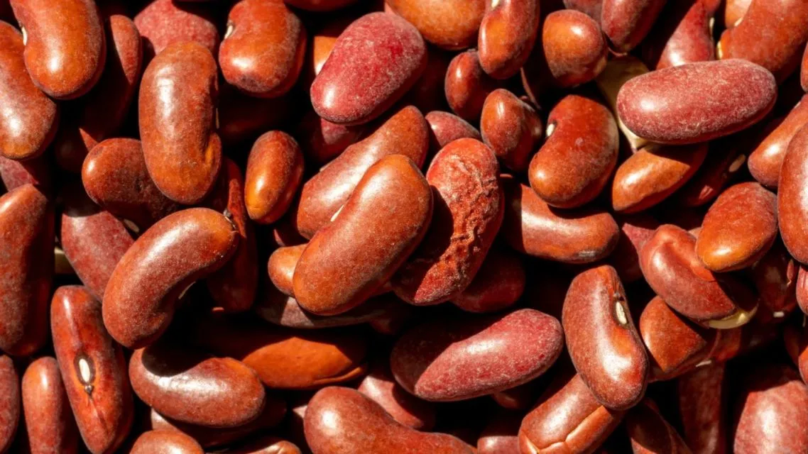 Hati-hati, 8 Makanan yang Beracun ini Bisa Jadi Ada di Dapur Rumahmu 14 makanan yang beracun