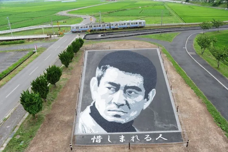 10 Seni Melukis Sawah di Jepang Ini Memang Luar Biasa, Bukan Dicat Apalagi Dibakar Lho 13