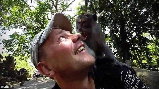 10 Foto 'Duel' Turis vs Hewan Liar Ini Kira-kira Bakalan Menang Siapa ya? Konyol Banget Sih Ini! 13