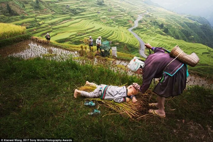 12 Potret Anak-anak Dunia yang Penuh Haru. Dari Terdampak Perang Hingga Terjerat Kemiskinan! 14