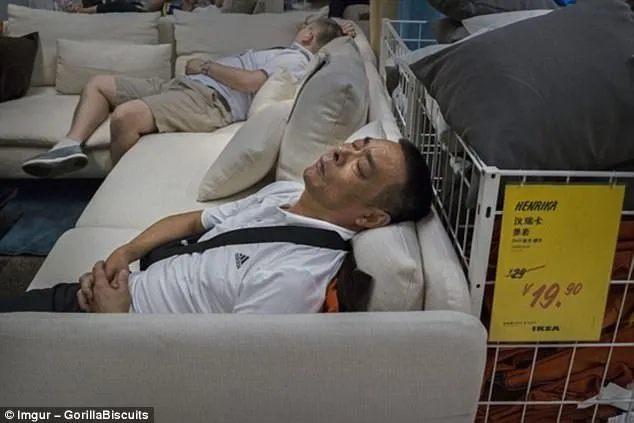 Begini 15 Potret Kocak Orang-orang yang Tidur di Ruang Publik. Ya Kalau Ngantuk Sih Gimana Lagi? 22