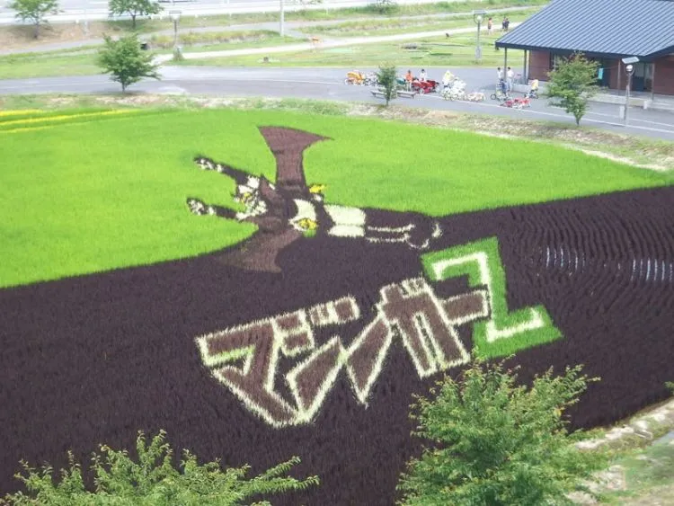 10 Seni Melukis Sawah di Jepang Ini Memang Luar Biasa, Bukan Dicat Apalagi Dibakar Lho 15