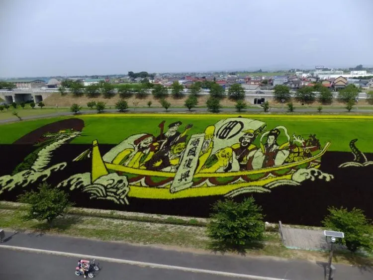 10 Seni Melukis Sawah di Jepang Ini Memang Luar Biasa, Bukan Dicat Apalagi Dibakar Lho 14