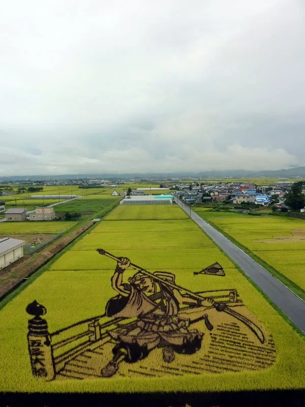 10 Seni Melukis Sawah di Jepang Ini Memang Luar Biasa, Bukan Dicat Apalagi Dibakar Lho 16