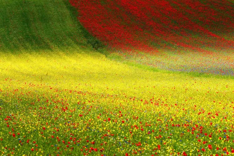 15 Foto Terbaik dari Sony Photography Awards yang Kerennya Kebangetan. Kamu Perlu Belajar Dari Karya Mereka! 20