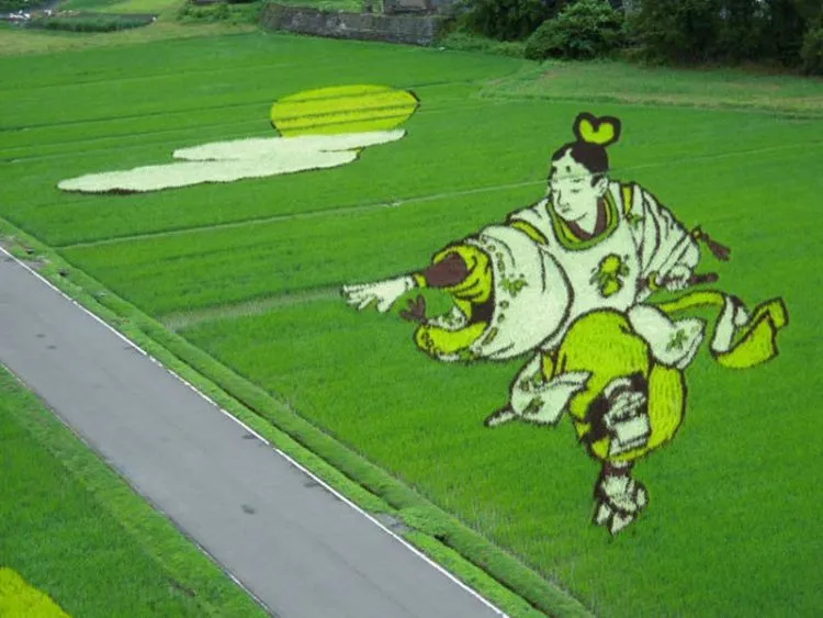 10 Seni Melukis Sawah di Jepang Ini Memang Luar Biasa, Bukan Dicat Apalagi Dibakar Lho 18