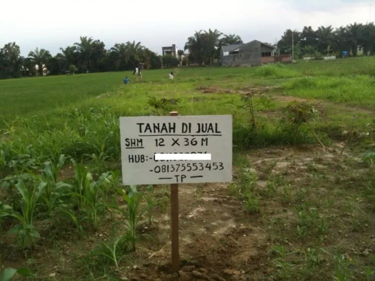 Harga Tanah-Rumah Tak Lagi Manusiawi, Rumah Mungil Bakal Jadi Rumah yang Realistis di Generasi Kita 7