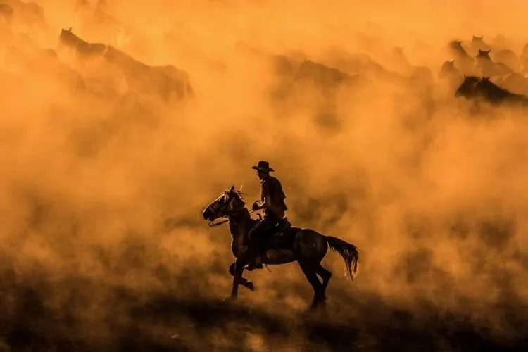 15 Foto Terbaik dari Sony Photography Awards yang Kerennya Kebangetan. Kamu Perlu Belajar Dari Karya Mereka! 28