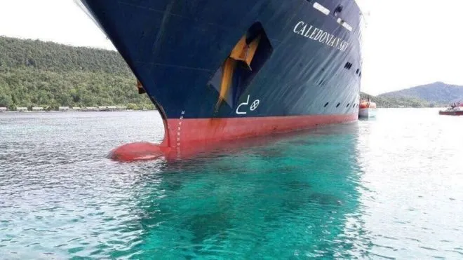 Masih Berkabung dari Rusaknya Karang Raja Ampat, Ternyata Great Barrier Reef Australia Juga Sekarat 5