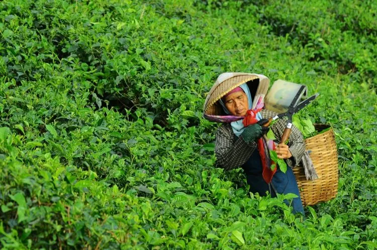 Saat Gagal, 10 Potret Kehidupan ini Perlu Kamu Lihat Biar Tetap Semangat 12