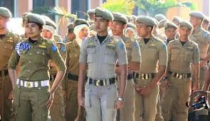 Dinas di Perantauan