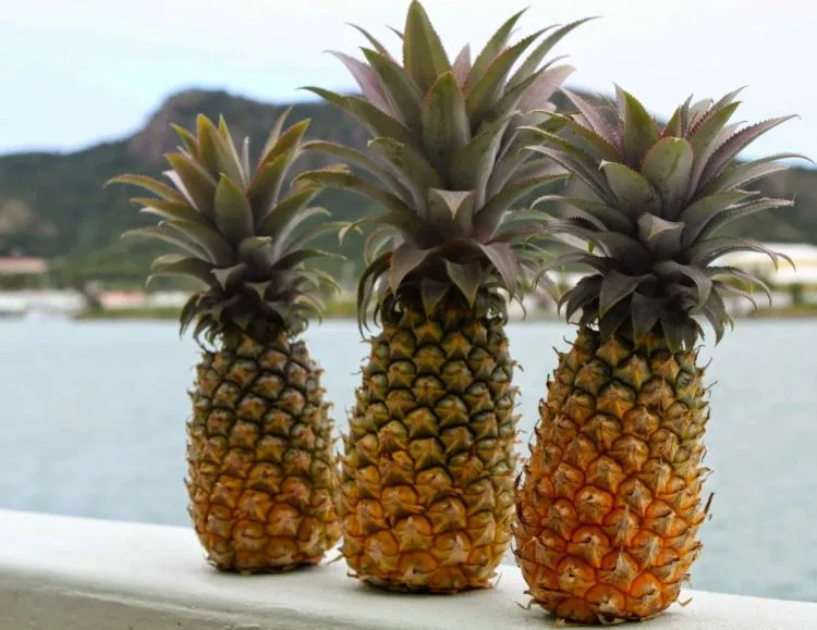 Dianjurkan untuk Hindari 7 Makanan Ini Ketika Hamil, Demi Calon Buah Hati Juga 'Kan? 10