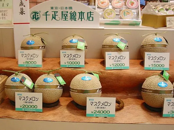 Melon Dijual Rp 350 Juta dan Satu Strawberi Sampai Rp 57 Juta. Buah-buah Di Jepang Ini Mahal Gila 14