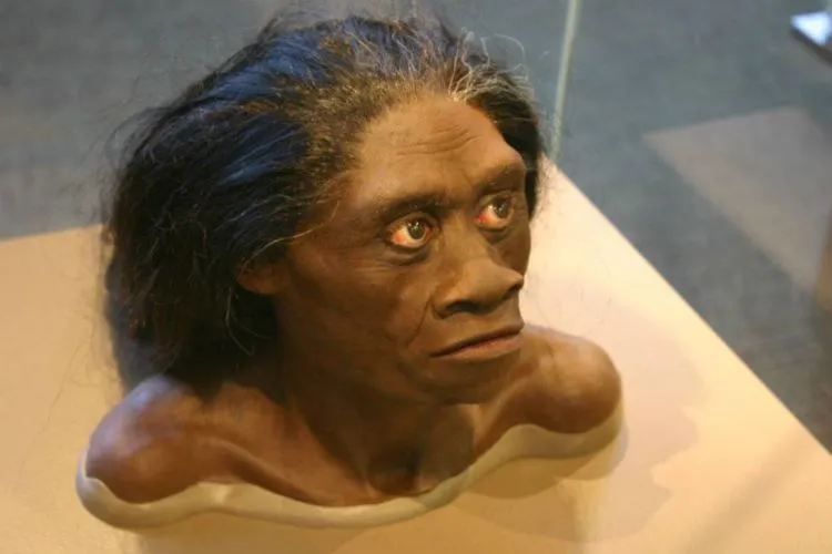 Suku Mante Diduga Tertangkap Kamera, Akankah Keberadaan Suku Misterius Indonesia Juga Terkuak? 5