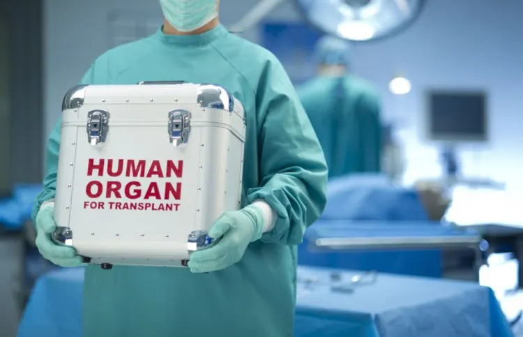 Jual Beli Organ Makin Marak, Termasuk di Indonesia. Biar Waspada, Ini 4 Hal yang Harus Kamu Tahu 6