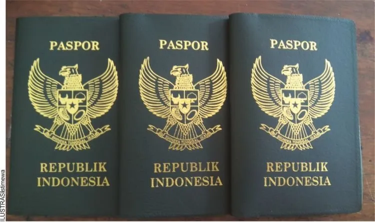 Paspor di Dunia Itu Ternyata Warnanya Cuma 4 Saja Lho, Ini Nih Alasannya 9
