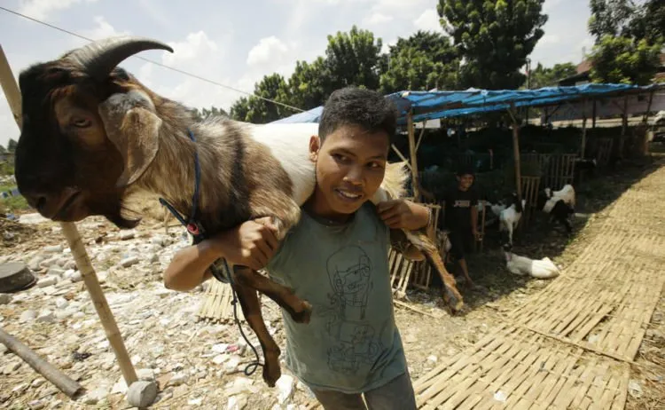 Orang Indonesia Mungkin Tak Sadar, Tapi Makanan Halal Sedang Jadi Tren Global Lho. Ini Nih Ceritanya 5