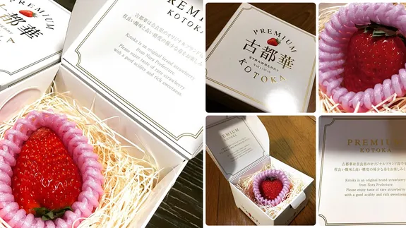 Melon Dijual Rp 350 Juta dan Satu Strawberi Sampai Rp 57 Juta. Buah-buah Di Jepang Ini Mahal Gila 16