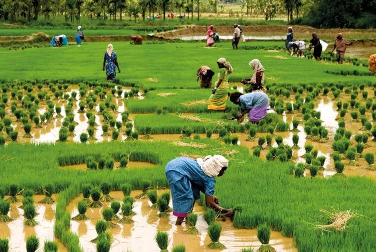14 Wujud Pertanian Modern di Masa Depan. Mungkin Kalau Nggak Gini Kita Nggak Bisa Makan 28