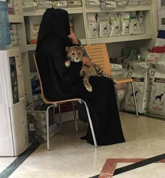 15 Hal Aneh dan Gila yang Hanya Bisa Ditemukan di Dubai. Mulai dari ATM Emas Sampai Pelihara Macan! 22