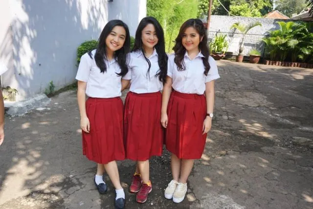 Pakai Seragam Sekolah Tiap Hari, Tapi Mungkin Dikit yang Tahu Makna atau Kenapa Warnanya Beda-beda 8