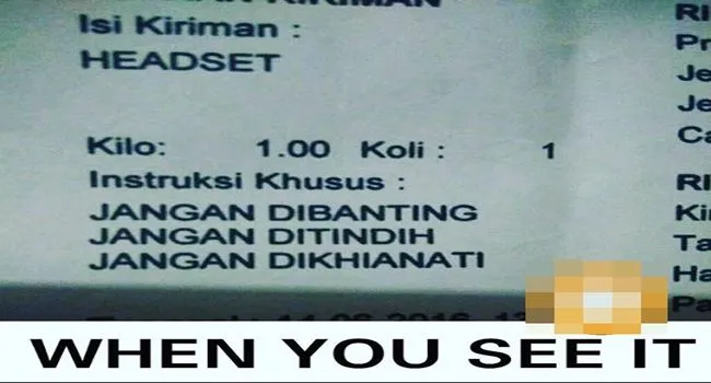 13 Taktik Kocak Biar Paketmu Mendarat Aman, Karena Tulisan ‘Jangan Dibanting’ Saja Nggak Cukup 20