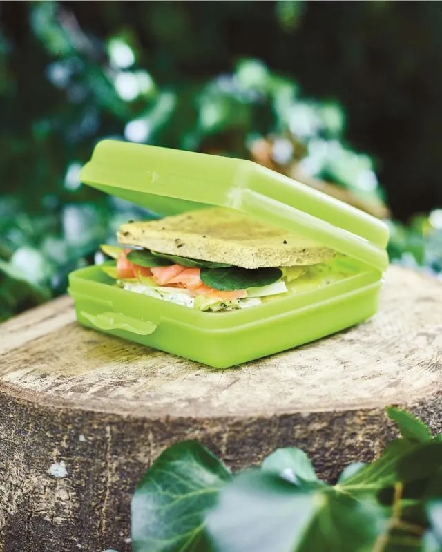 11 Nostalgia Bawa Bekal Pakai Tupperware Waktu SD Ini Bikin Generasi 90-an Nyengir Geli! 12