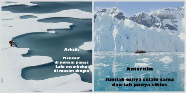 Buat yang Masih Suka Bingung, Ini 10 Perbedaan Kutub Utara & Selatan. Jangan Salah Sebut Lho 13