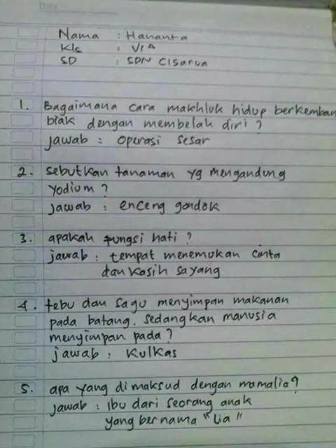 Memang Polos atau Niat Melawak, 17 Jawaban Bocah SD Saat Ujian Ini Kadang Ada Benarnya 20