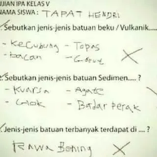 Memang Polos atau Niat Melawak, 17 Jawaban Bocah SD Saat Ujian Ini Kadang Ada Benarnya 22