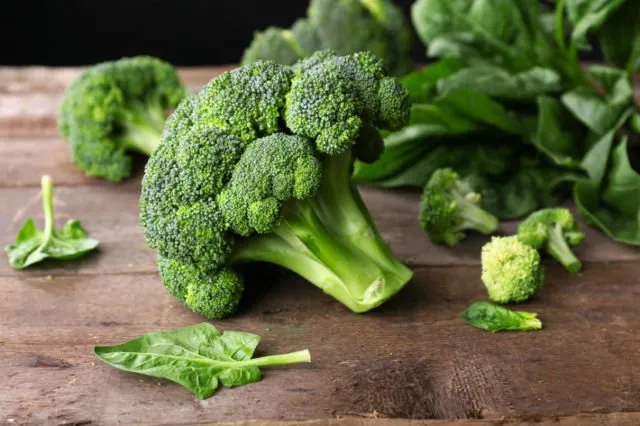 Selain Memijat, 8 Makanan Ini Bikin Payudara Jadi Lebih Berisi. Cewek Kurus Jangan Pesimis Dulu! 15