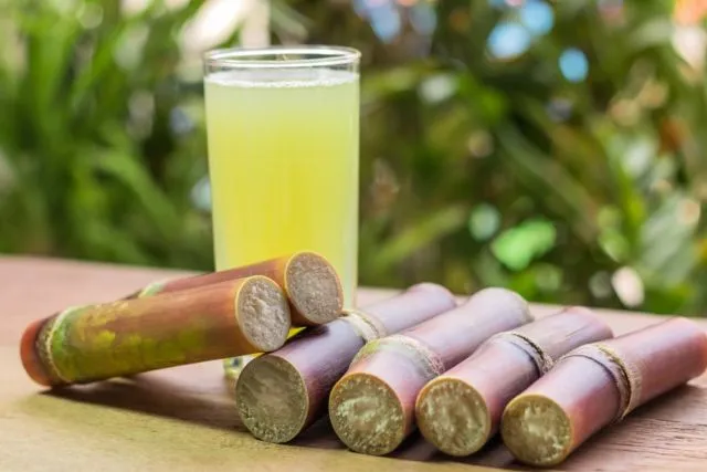 Hati-hati! Banyak yang Tak Sadar, 6 Makanan Ini Ternyata Punya Racun Alami yang Cukup Berbahaya Lho 7