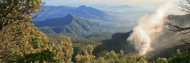 Donald Trump Mau Membangun Taman Bermain Mewah di Lereng Gunung Gede. Aktivis Lingkungan pun Protes! 4