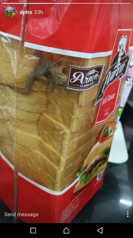 Pastikan Tiada ‘Mahkluk Asing’ Nyasar di Makanan yang Siap Kamu Santap. Kian Banyak Lho Kasus Begini 9