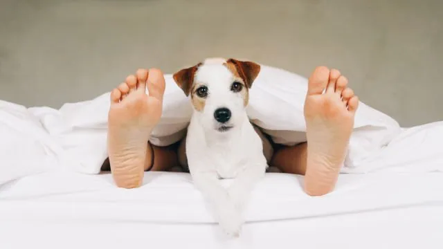 8 Angle Foto Instagramable Ini Pas Buat Kamu yang Masih Newbie. Feeds-mu Dijamin Jadi Apik! 12