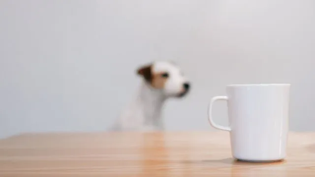 8 Angle Foto Instagramable Ini Pas Buat Kamu yang Masih Newbie. Feeds-mu Dijamin Jadi Apik! 17