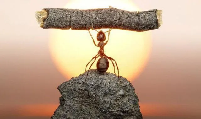 Nothing is impossible