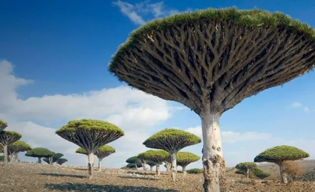 15 Foto Destinasi Aneh dan Ajaib di Muka Bumi. Kok Ada ya Tempat Menakjubkan Seperti Ini? 23