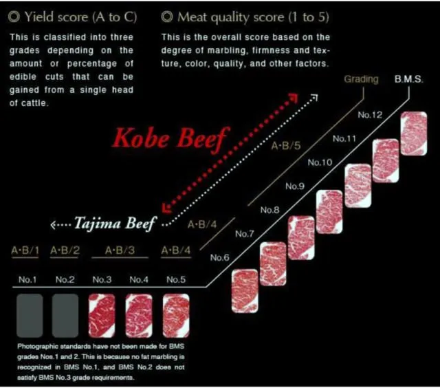 Daging Sapi Seharga Rp4,2 Juta Sekilo Bukan Fiksi. Ini Alasan Kenapa Kobe Beef Dihargai Semahal Itu 19